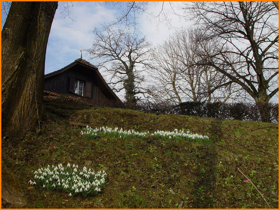 Es werde Frühling!