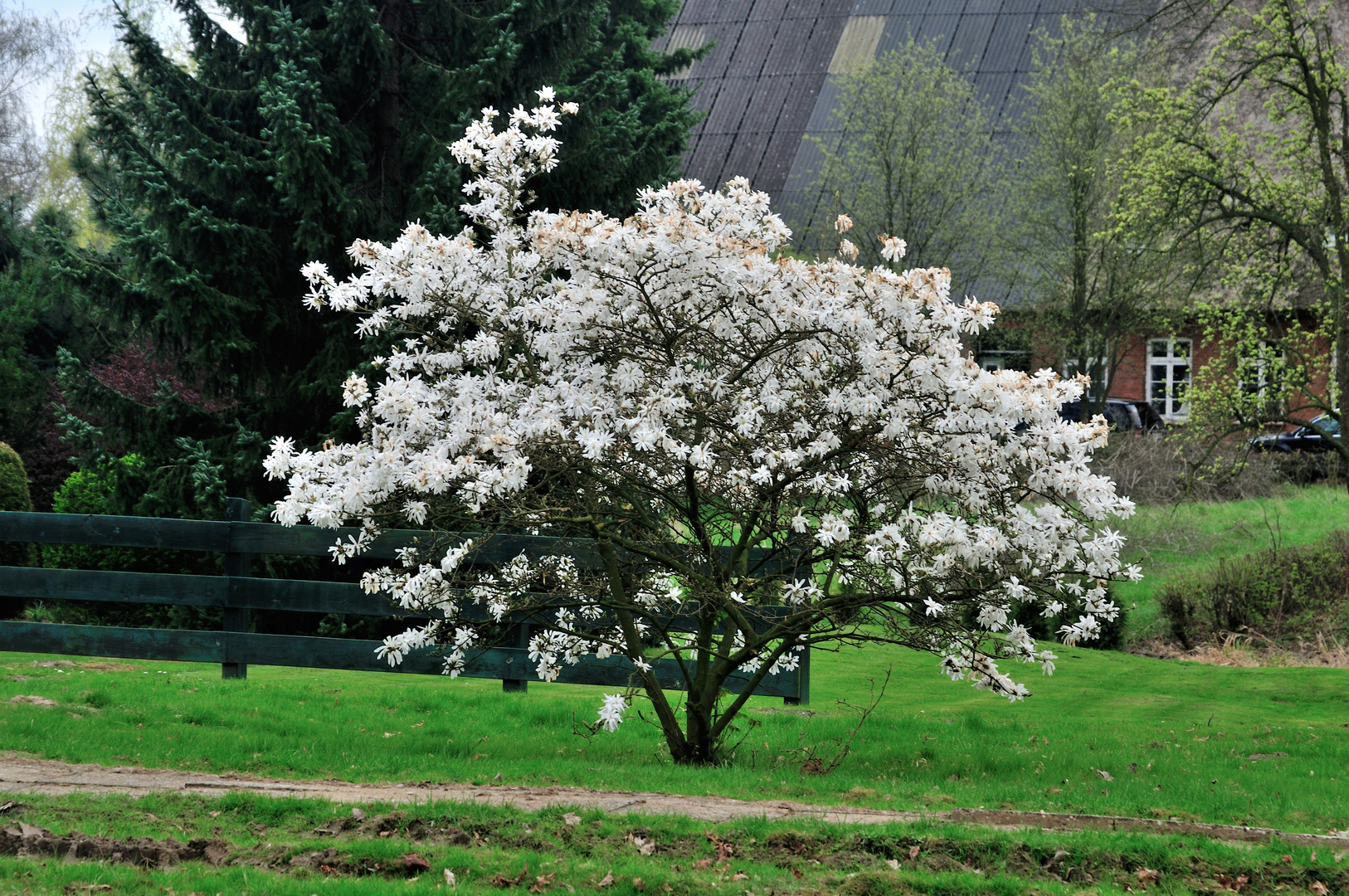 es werde Frühling .