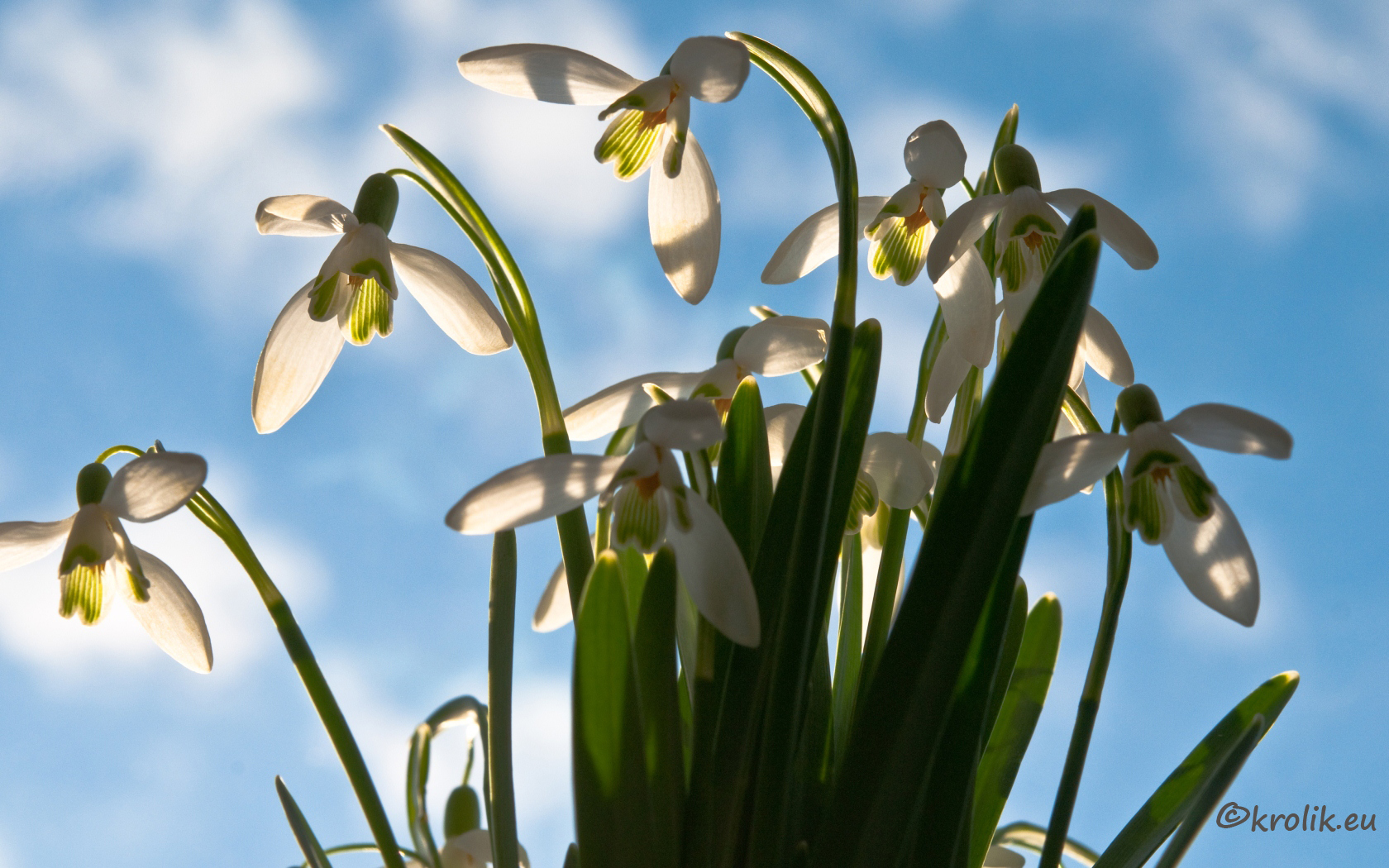 Es werde Frühling