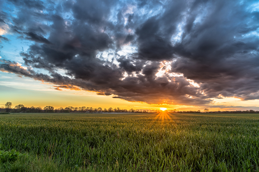 Es werde Licht [Lever du soleil]