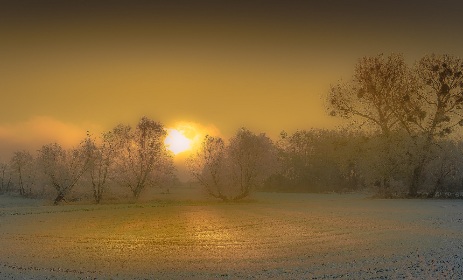 Es werde Licht-Wintermorgen