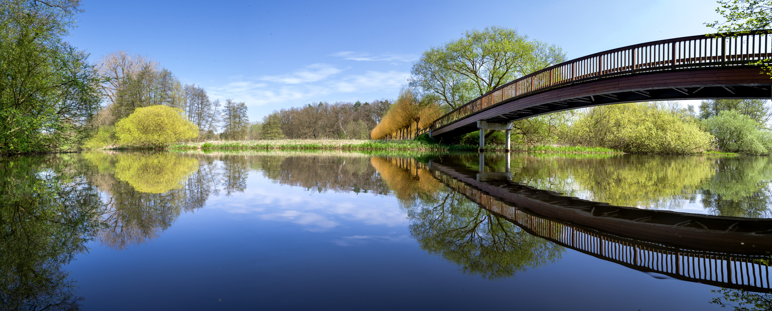 Es will Frühling werden