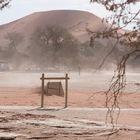 es windet in der Namib