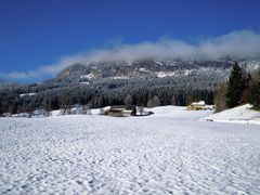 Es wintert immer mehr.