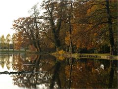 Es wird Abend im Park