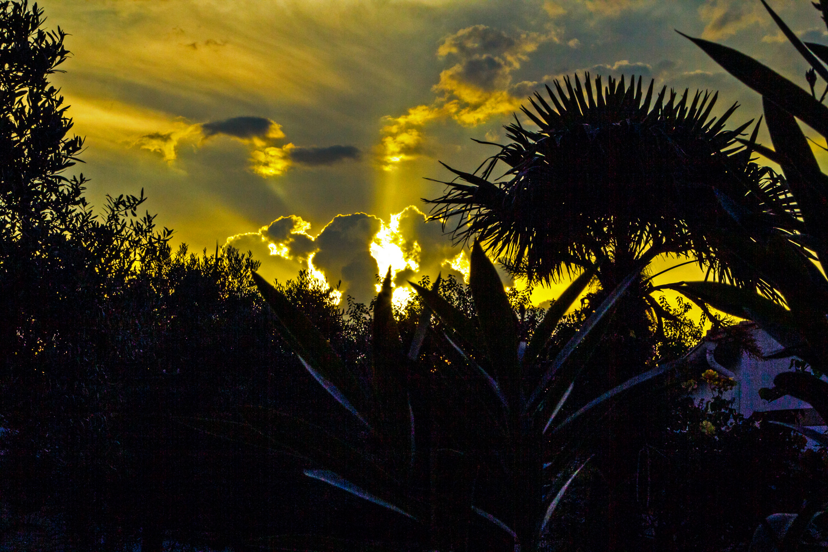 ...es wird Abend in unserem Garten...