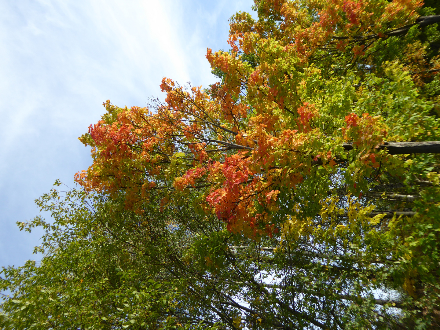 Es wird bunt