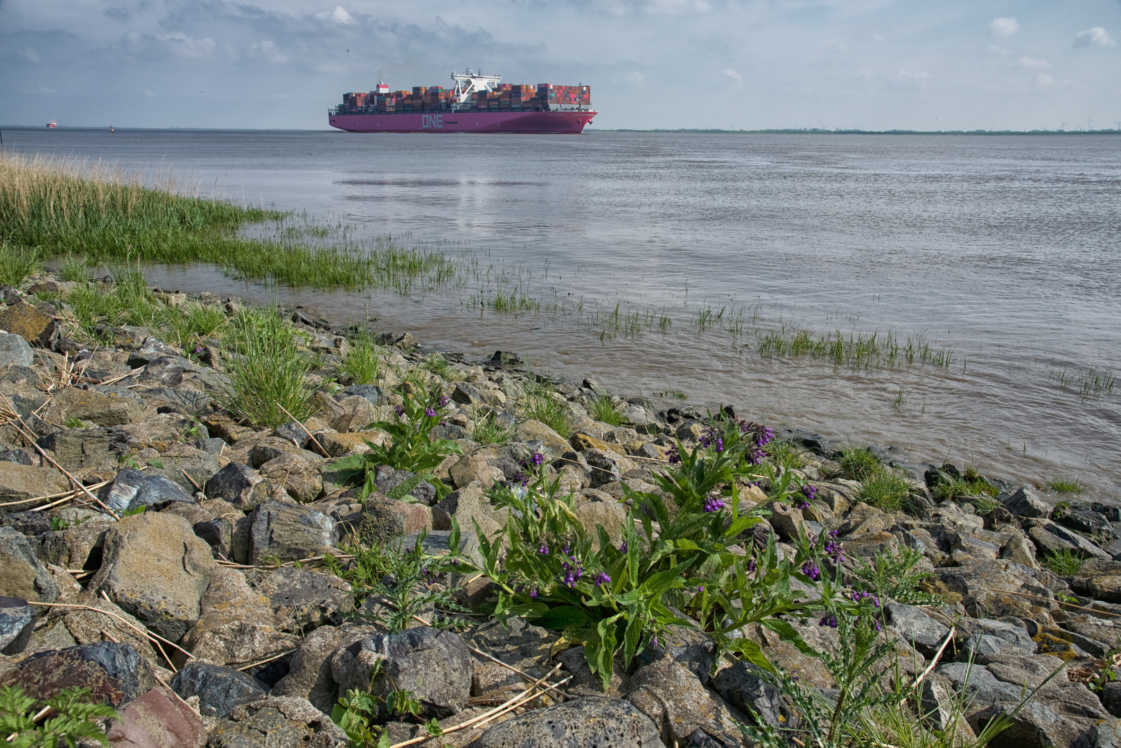 Es wird bunt auf der Elbe