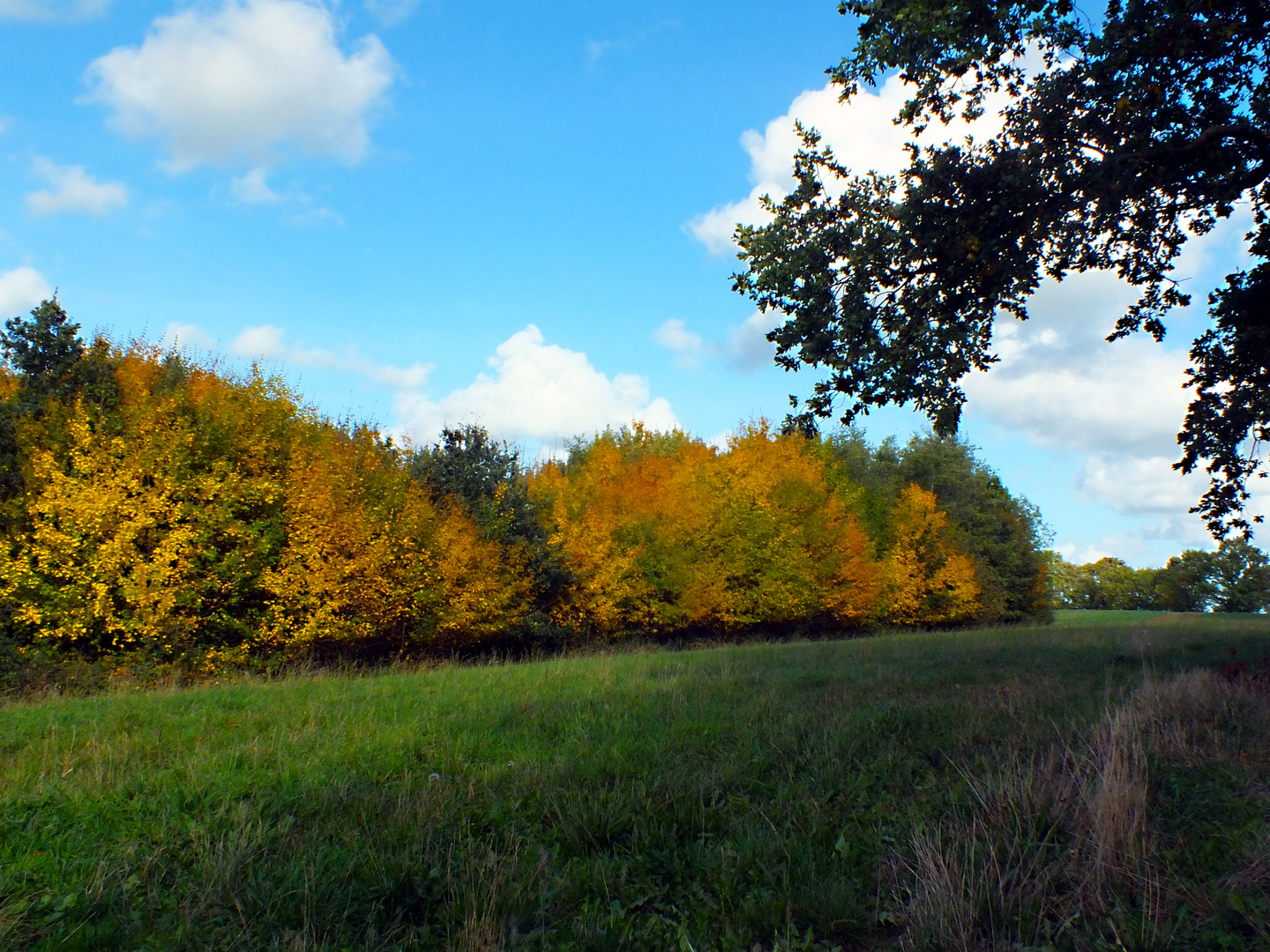 Es wird bunt