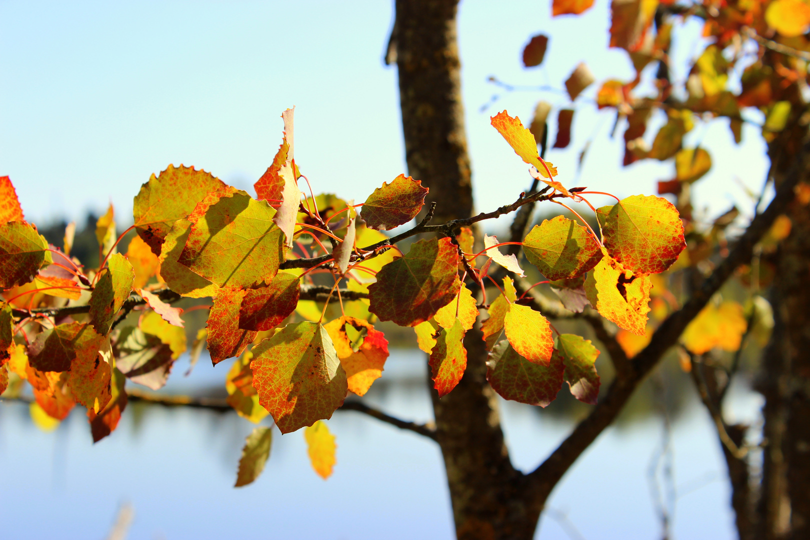 es wird bunt!