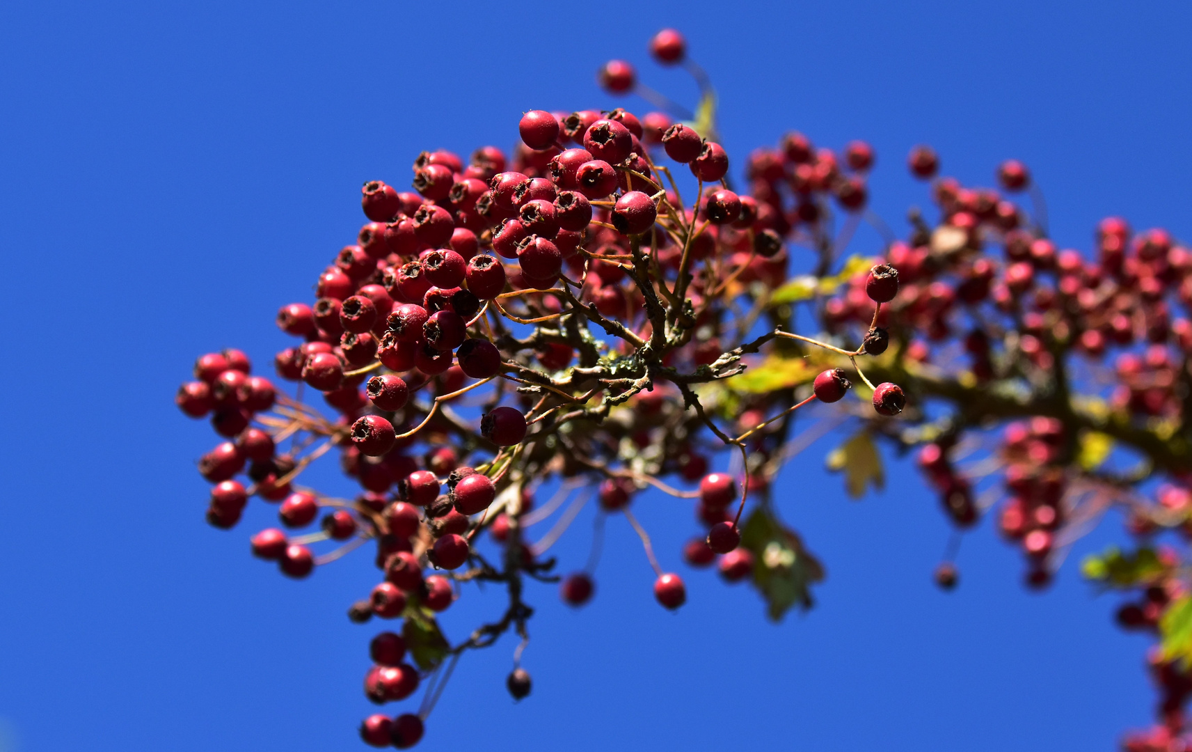 Es wird bunt 