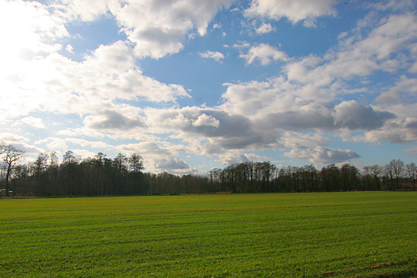 Es wird doch Frühling???? Oder????