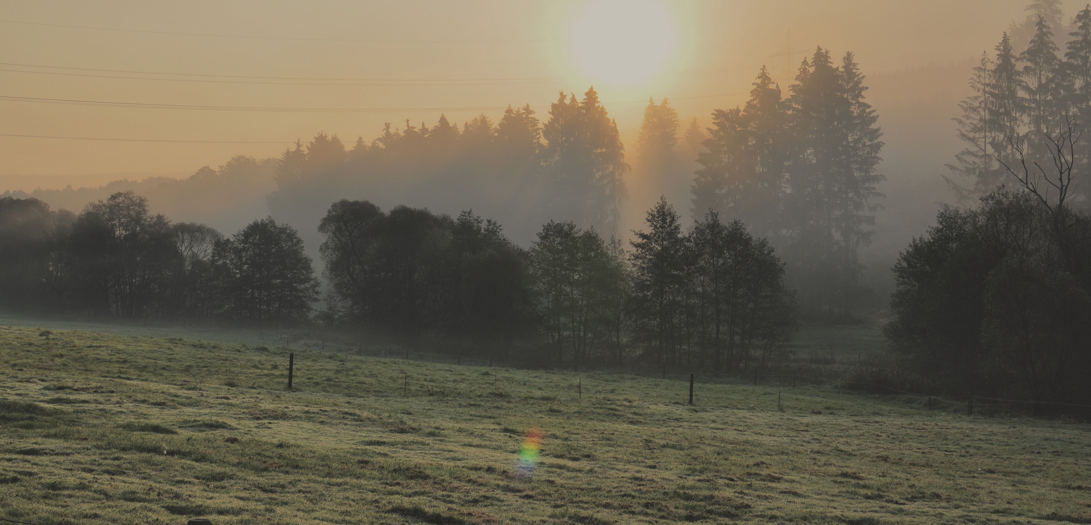 Es wird ein schöner Tag  / Morgens um sieben ist die Welt ...