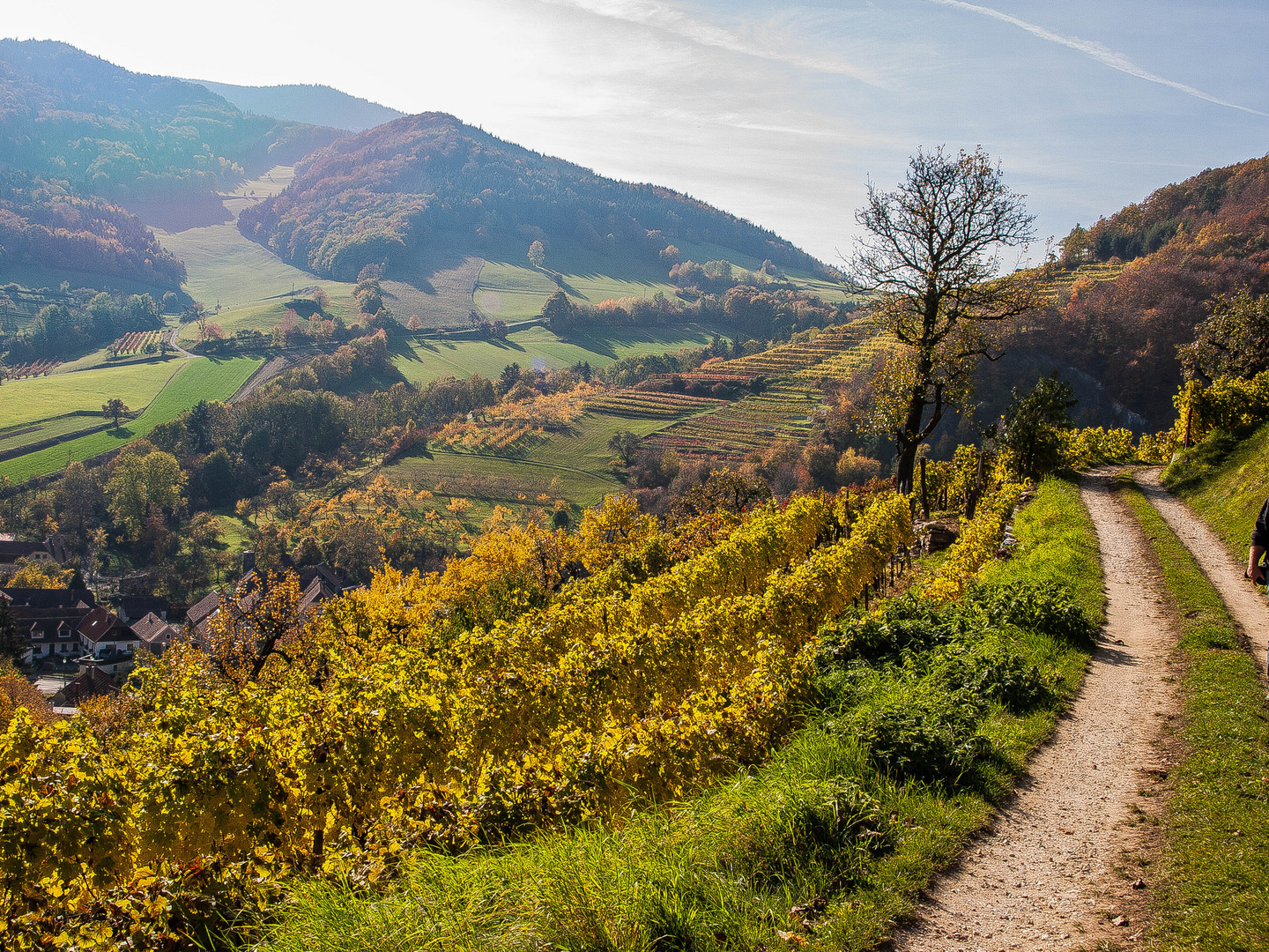 es wird ein Wein sein und wir werden nimma sein