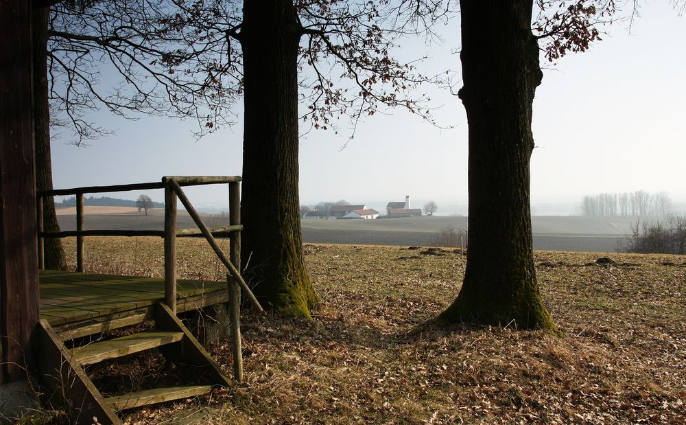 Es wird endlich Frühling....