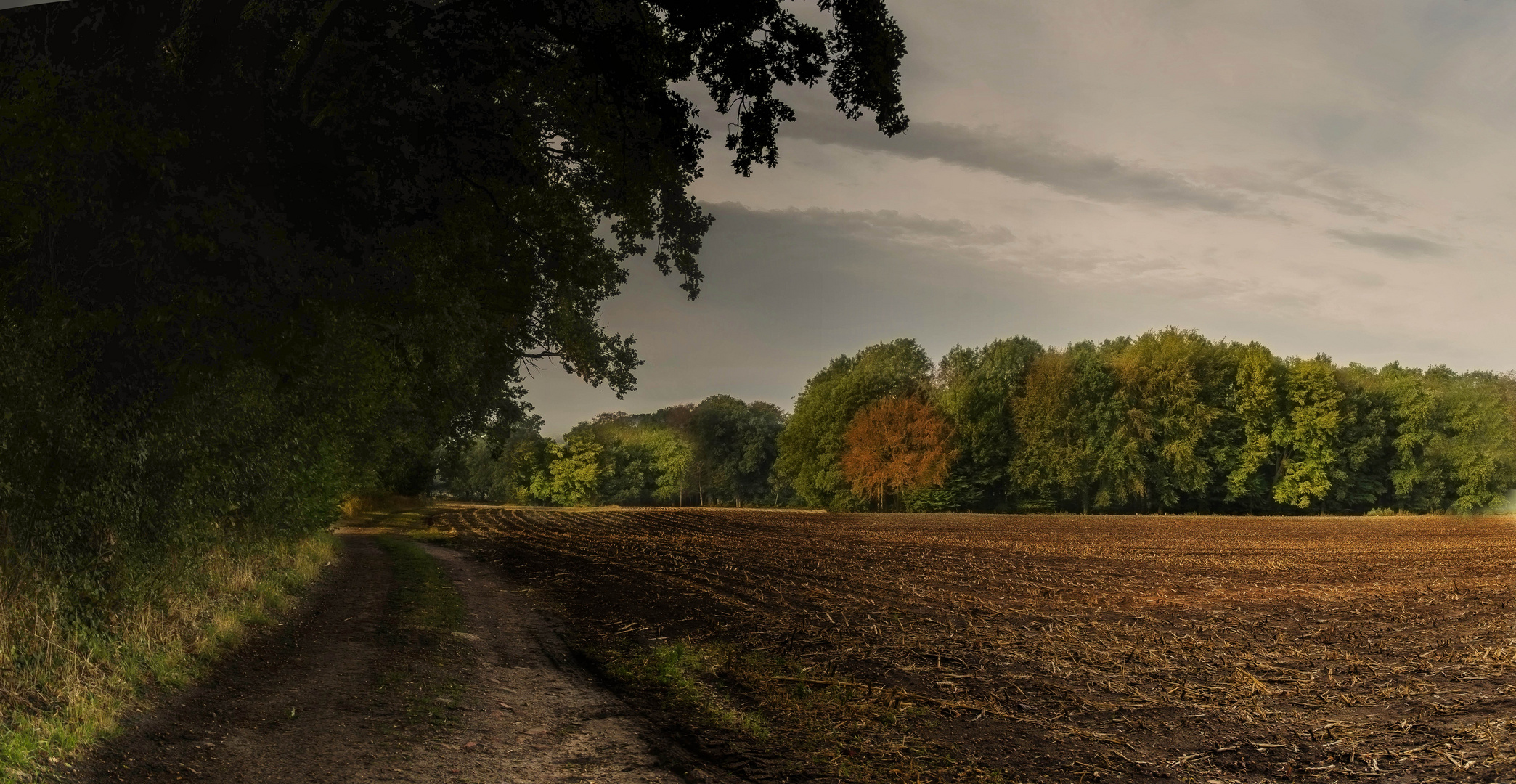 es wird früh Herbst...