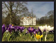 Es wird Frühling...