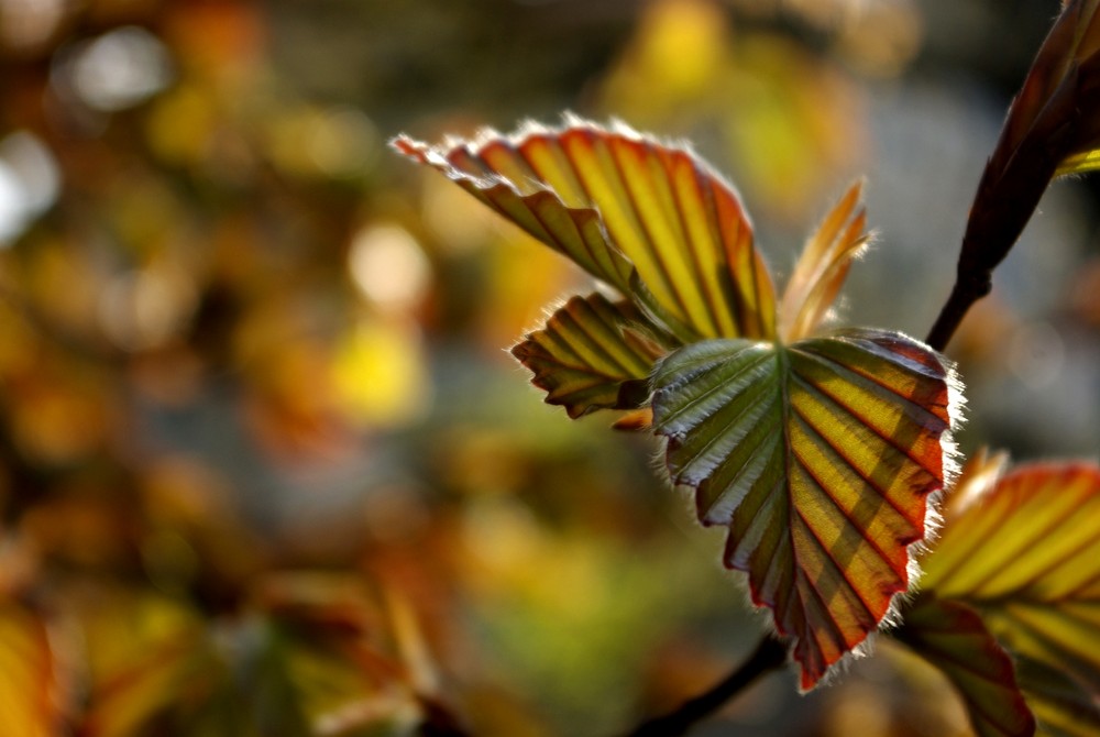 Es wird Frühling