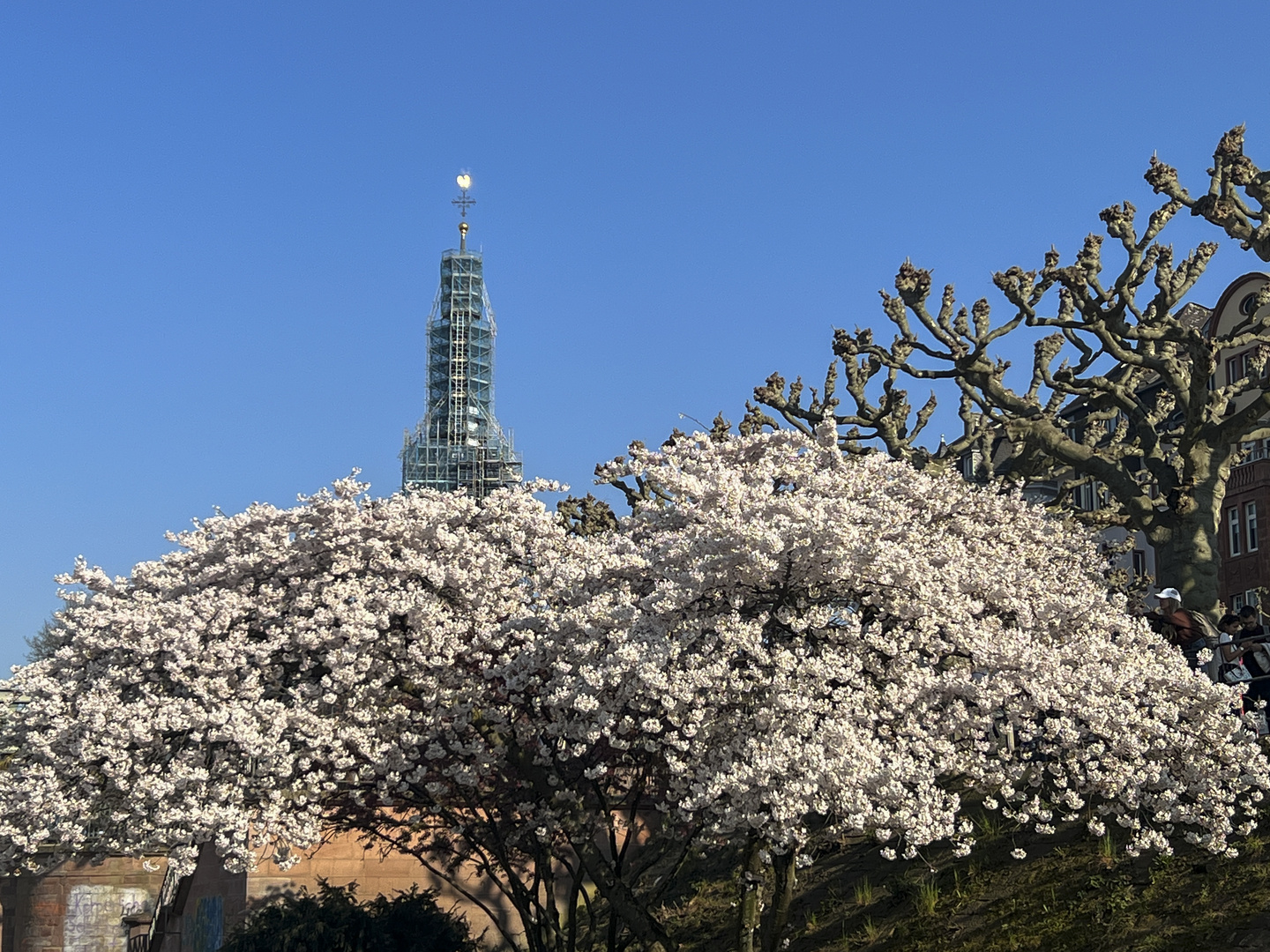 Es wird Frühling