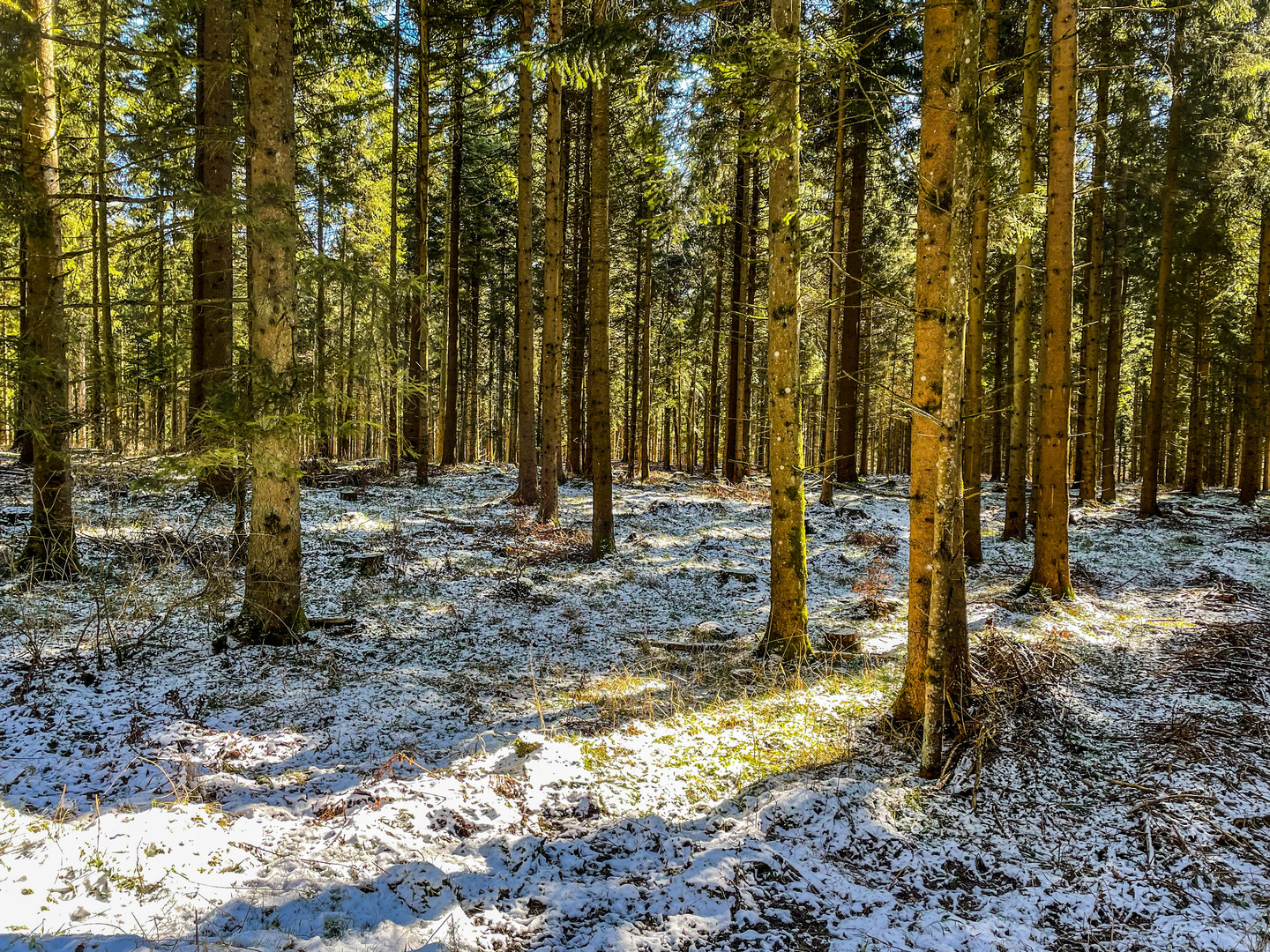 Es wird Frühling