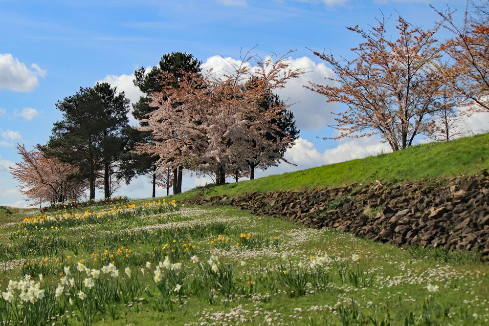 Es wird Frühling