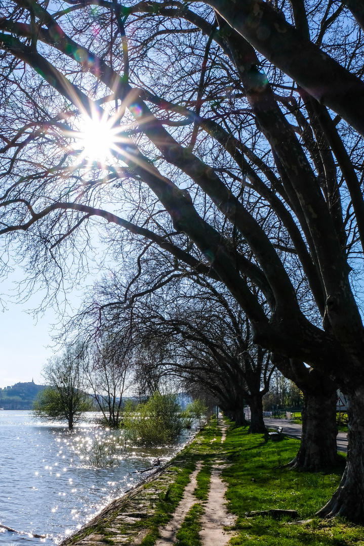 Es wird Frühling.