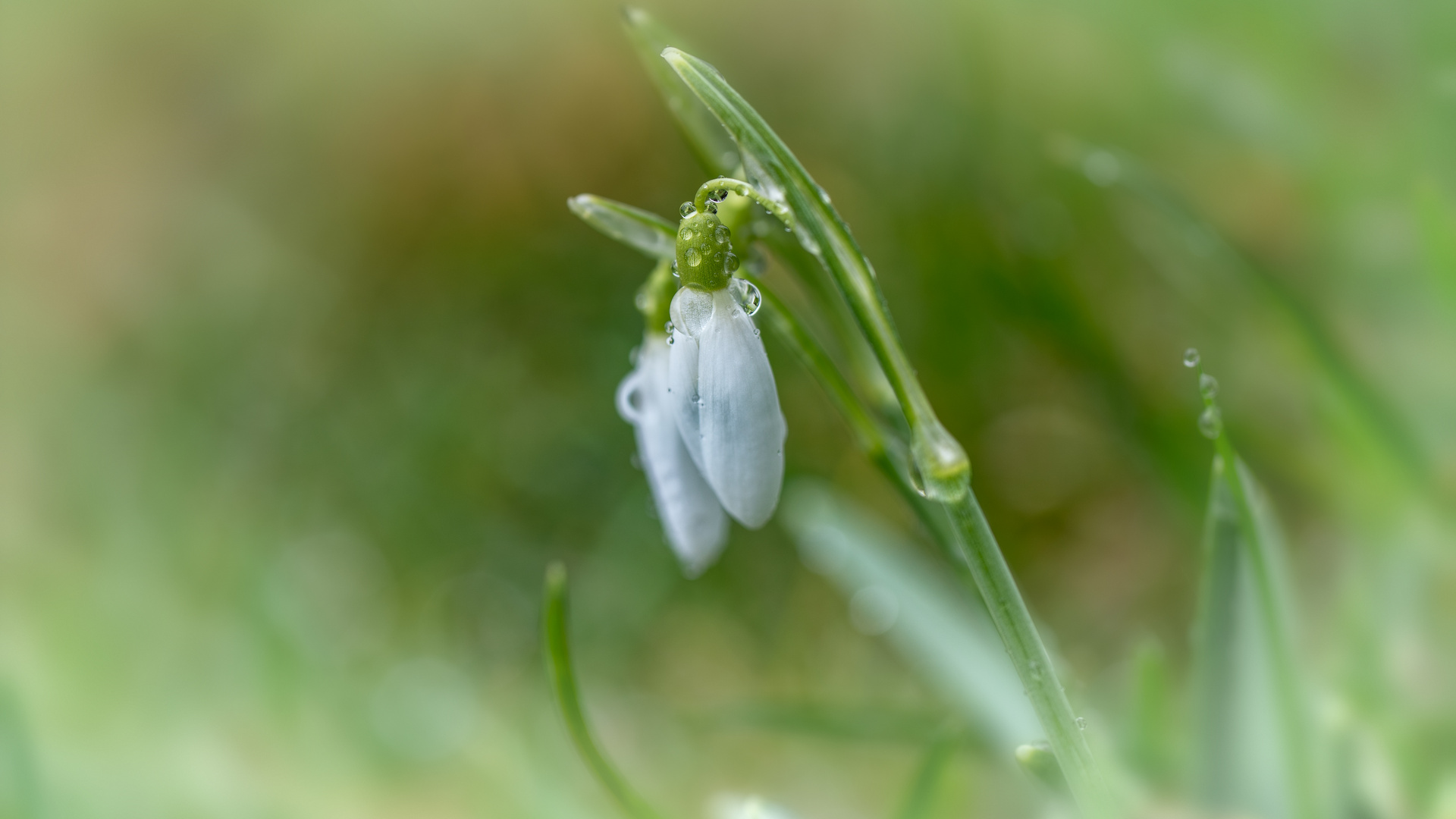 Es wird Frühling