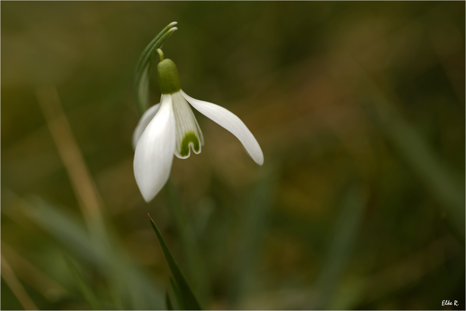 Es wird Frühling...