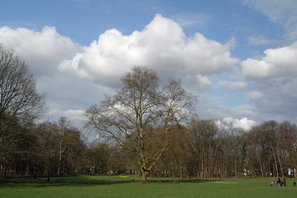 Es wird Frühling