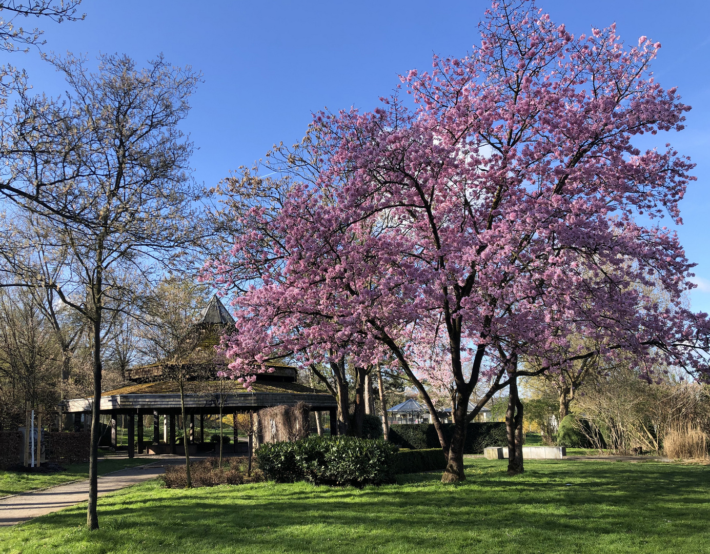 Es wird Frühling