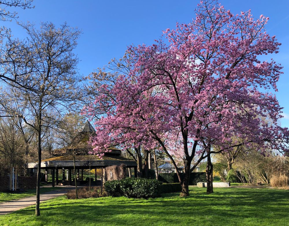 Es wird Frühling