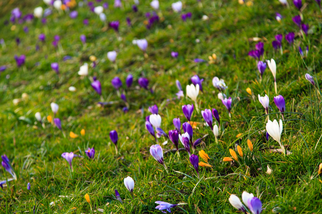 Es wird Frühling