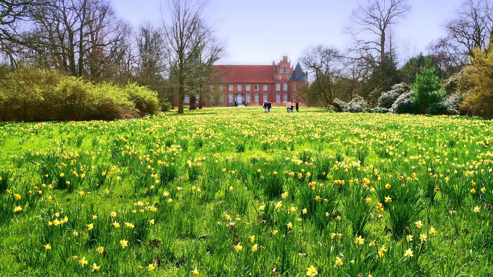 Es wird Frühling