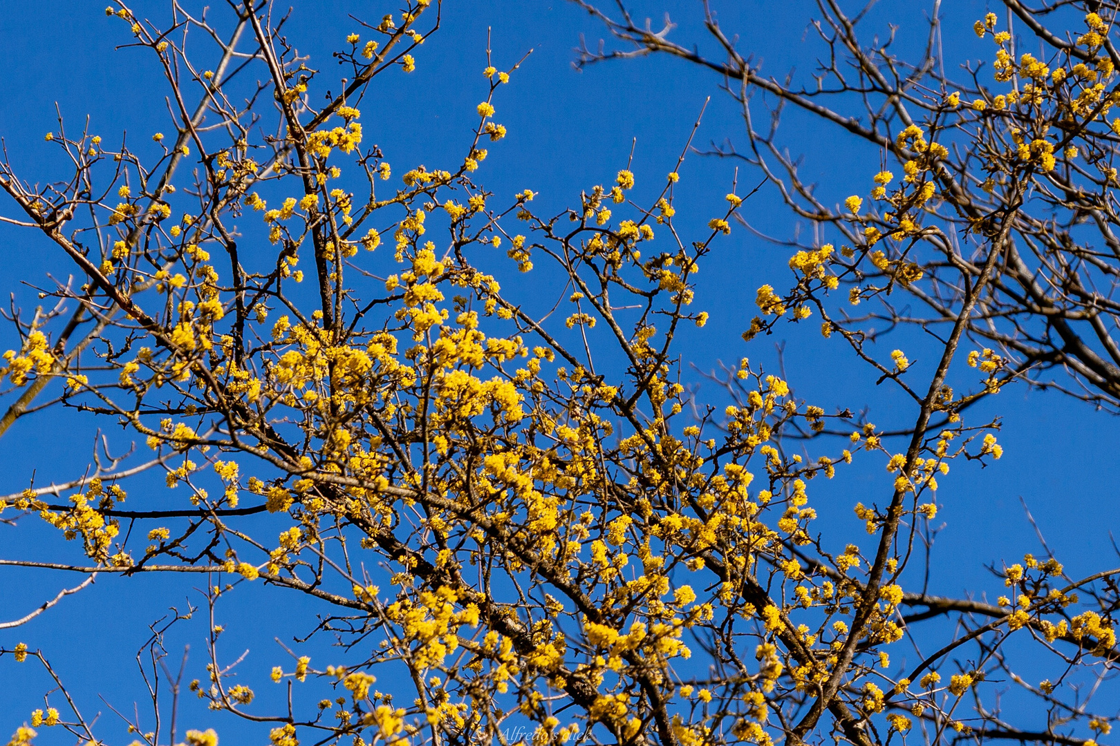 Es wird Frühling