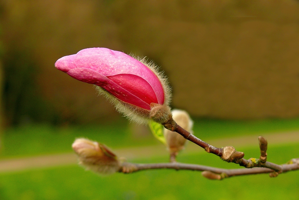 Es wird Frühling