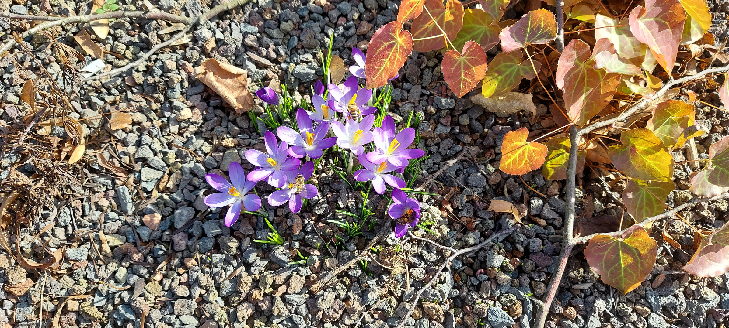 Es wird Frühling