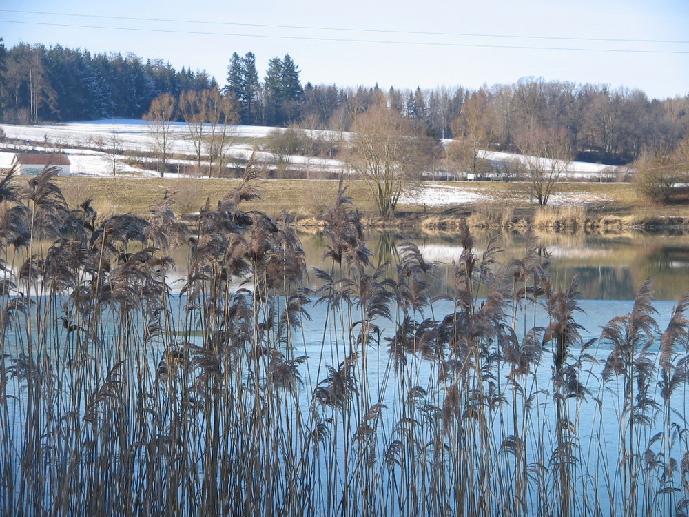 Es wird Frühling