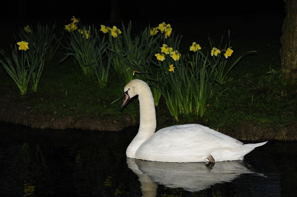 Es wird Frühling