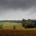 Es wird Frühling