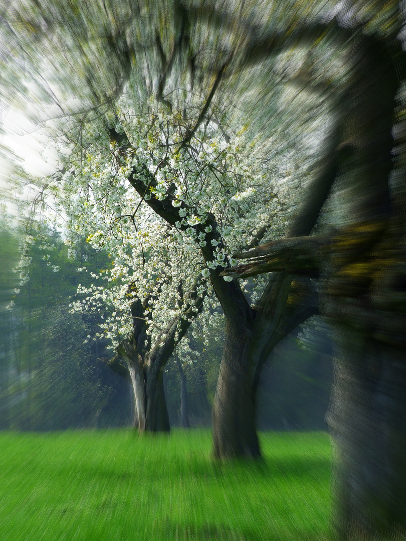 es wird Frühling