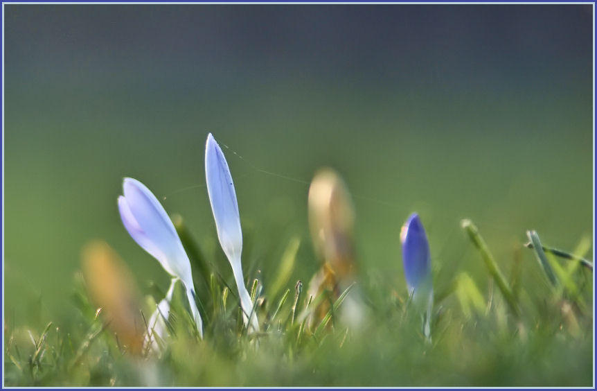 Es wird Frühling