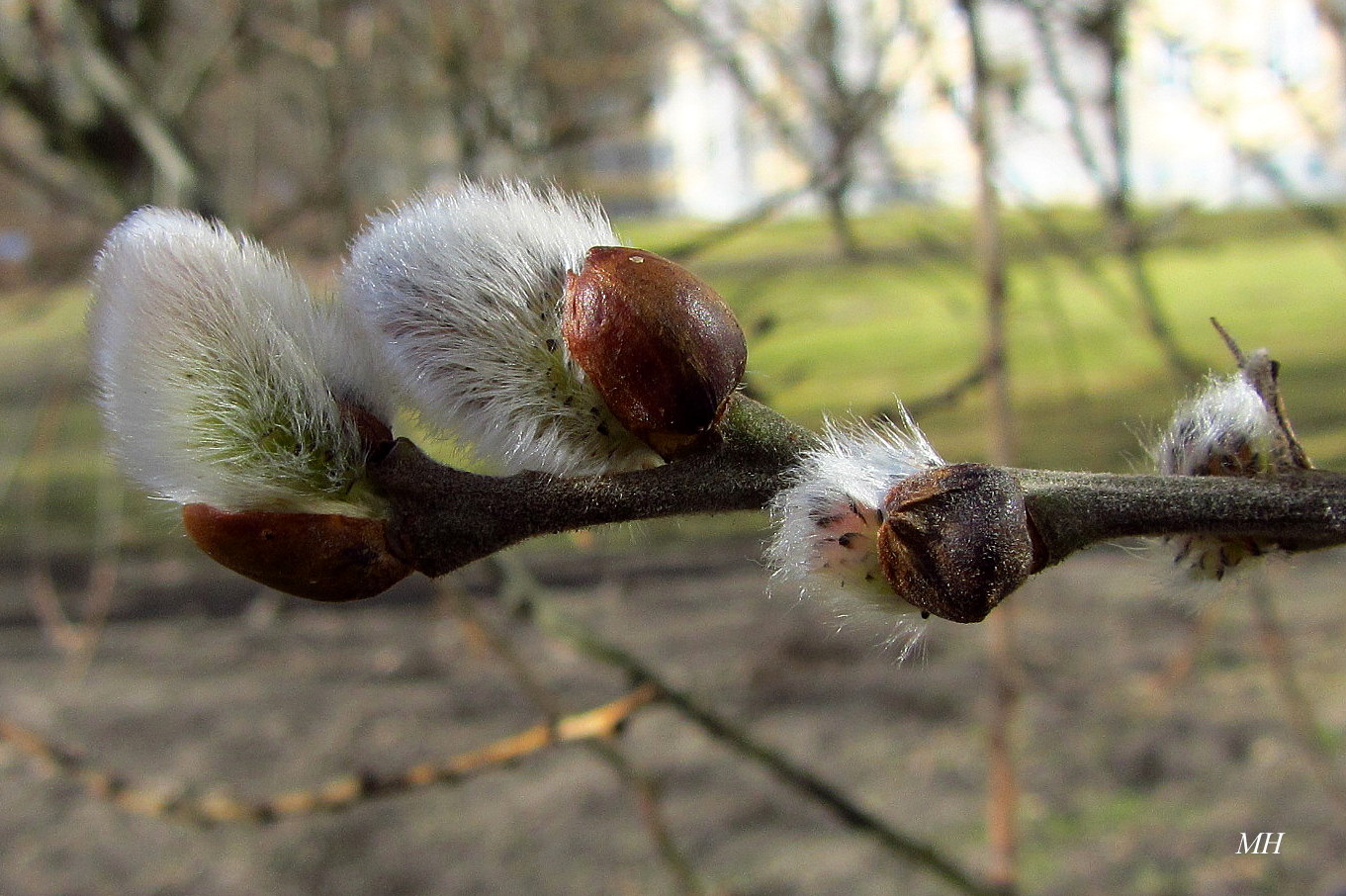 Es wird Frühling