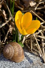 Es wird Frühling