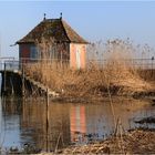 Es wird Frühling am See ...