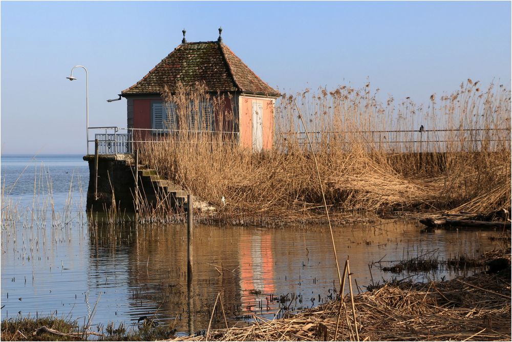 Es wird Frühling am See ...