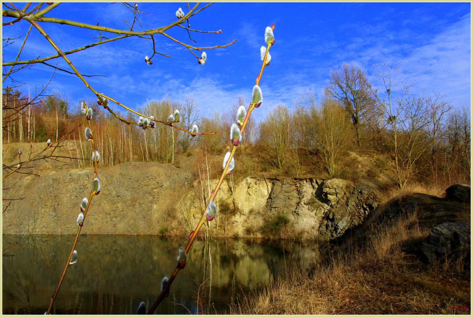 Es wird Frühling auf dem Schafberg in Baruth