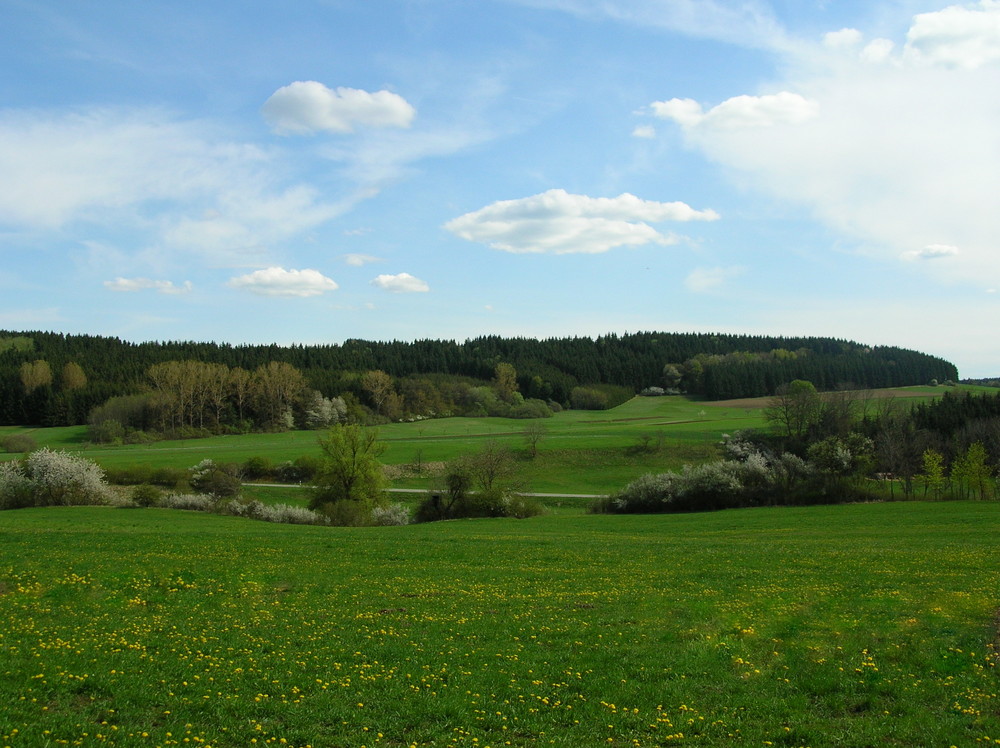 Es wird Frühling auf der Schwäbischen Alb