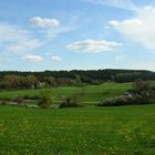 Es wird Frühling auf der Schwäbischen Alb