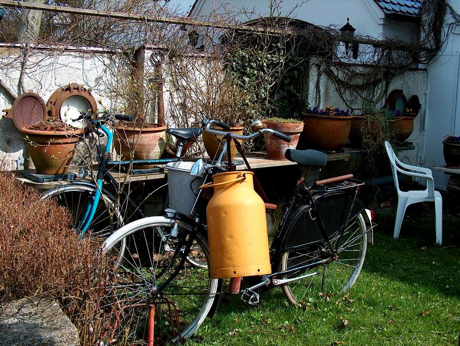 Es wird Frühling auf Sylt