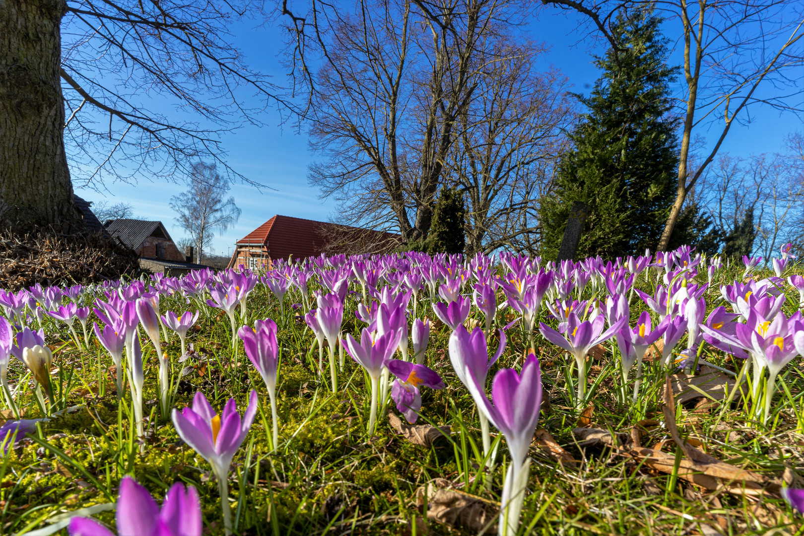 Es wird Frühling!